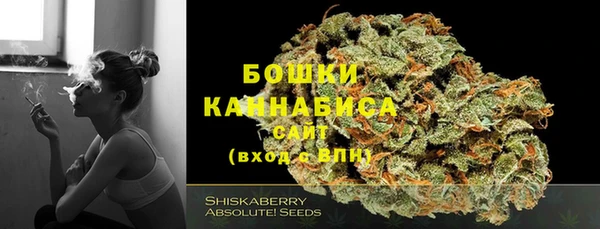 крисы Володарск
