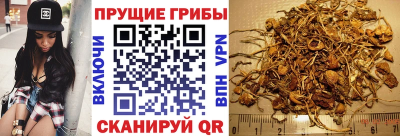 Галлюциногенные грибы Cubensis Вятские Поляны